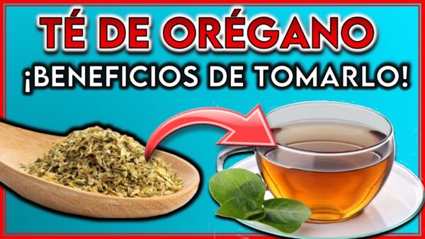 Té de Orégano: Preparación Correcta y Beneficios para la Salud