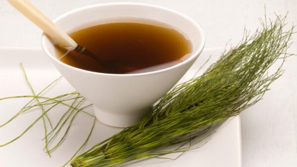 El Poder de la Planta Cola de Caballo para las Infecciones Urinarias: Receta, Consejos y Más