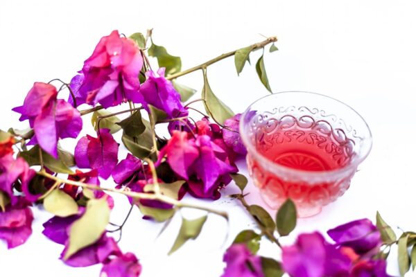 Descubre los Maravillosos Beneficios de la Flor de Bugambilia
