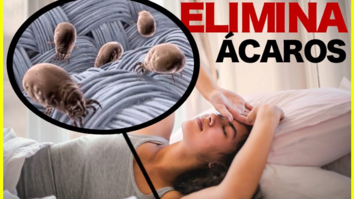 Ácaros