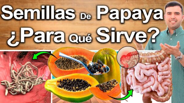 Eliminación de Parásitos con Semillas de Papaya: Una Receta Natural para una Salud Mejor