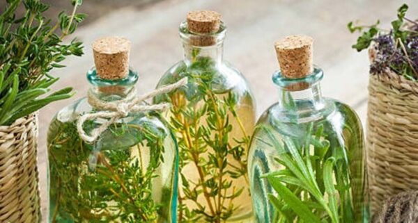 Cómo Preparar Alcohol de Romero y 25 Increíbles Usos