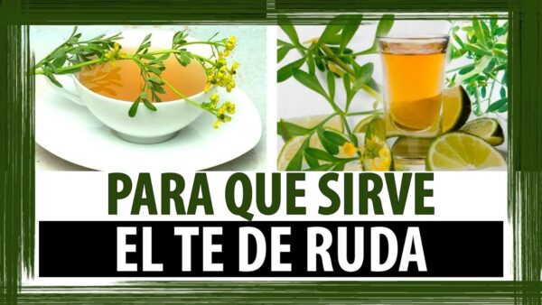 15 Problemas de Salud que Puedes Mejorar con Ruda y Cómo Incorporarla en Tu Vida Diaria