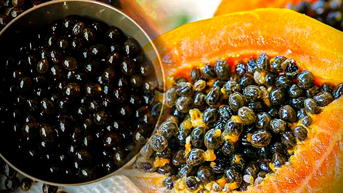 Semillas