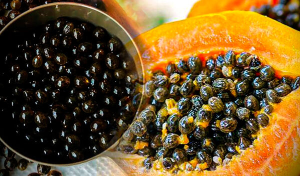 Los 30 Beneficios de las Semillas de Papaya y Cómo Usarlas: Recetas, Consejos y Más