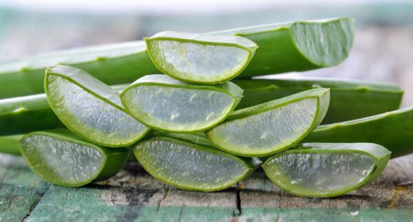 Aloe Vera: Beneficios y Formas Correctas de Consumo