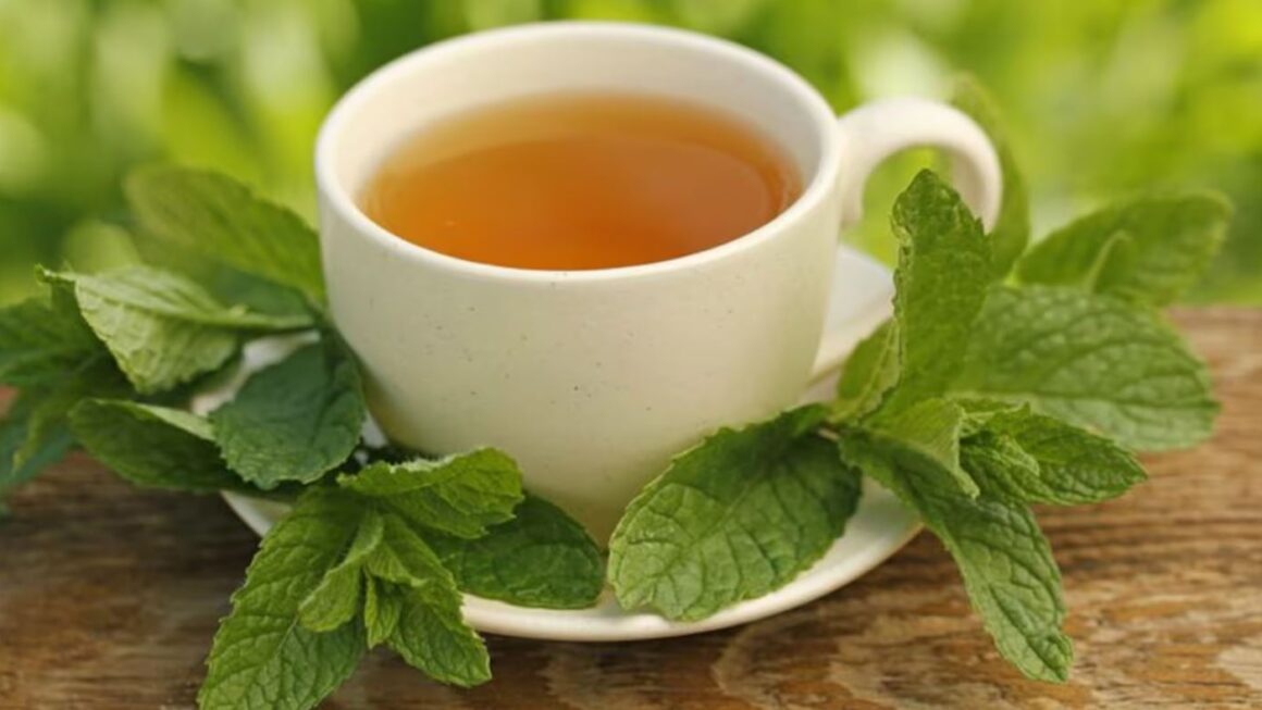 Hojas de Menta