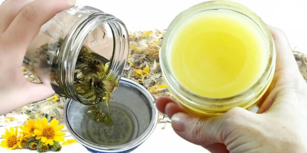 El Uso del Árnica para las Rodillas, Articulaciones y Huesos: Beneficios, Recetas y Consejos