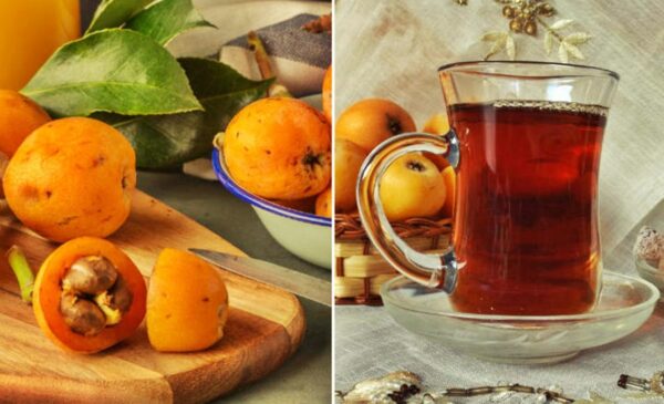 Las Hojas de Níspero: Beneficios, Preparación del Té y Consumo