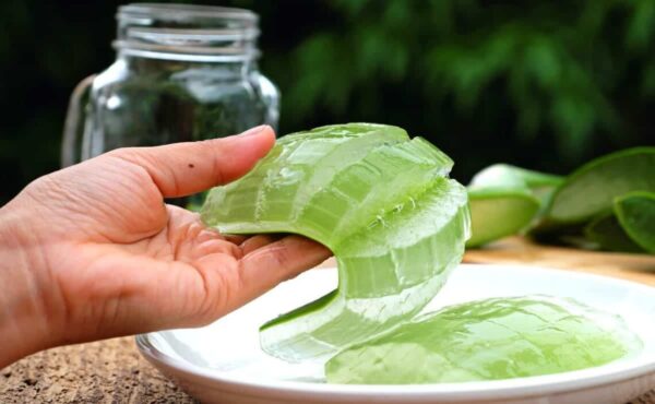 Agua de Aloe Vera con Limón: 25 Beneficios, Consejos y Preparación Correcta