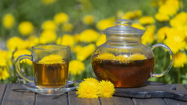 El Diente de León: 20 Beneficios y Cómo Consumirlo Correctamente