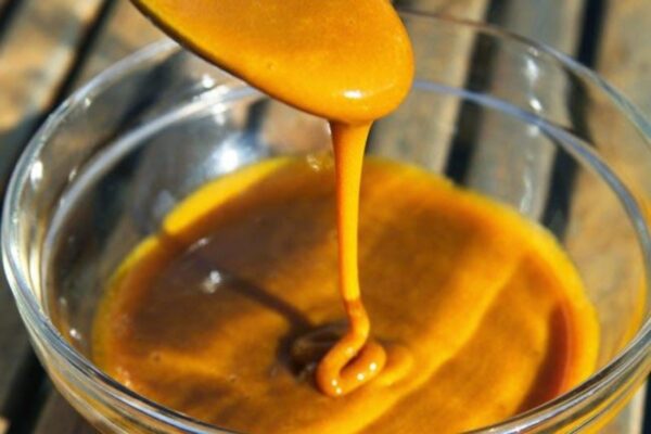 Antibiótico Natural de Cúrcuma y Miel: Receta, Cómo Tomarlo y sus 20 Beneficios