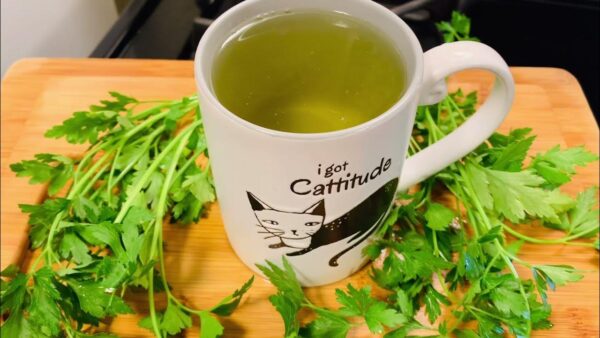 Purifica tus Riñones con Té de Perejil