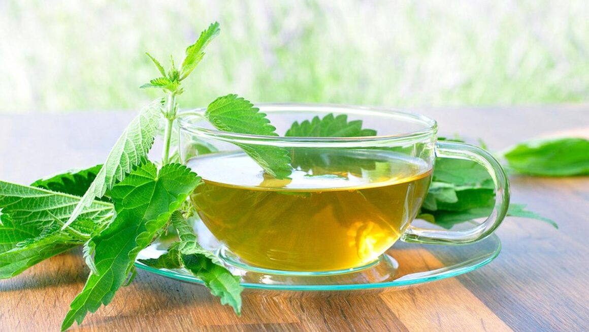 Beneficios de la ortiga para la salud