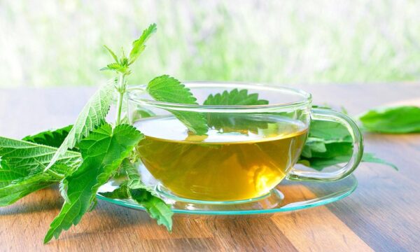 La Ortiga: Un Remedio Natural para Combatir 20 Problemas de Salud