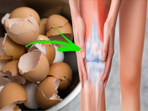 "Fortalece Tus Huesos de Forma Natural con Cáscara de Huevo: Todo lo que Necesitas Saber"