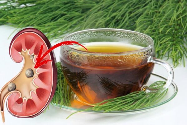 La Planta Cola de Caballo: Un Poderoso Remedio para Infecciones Urinarias, Piedras en los Riñones y Mucho Más