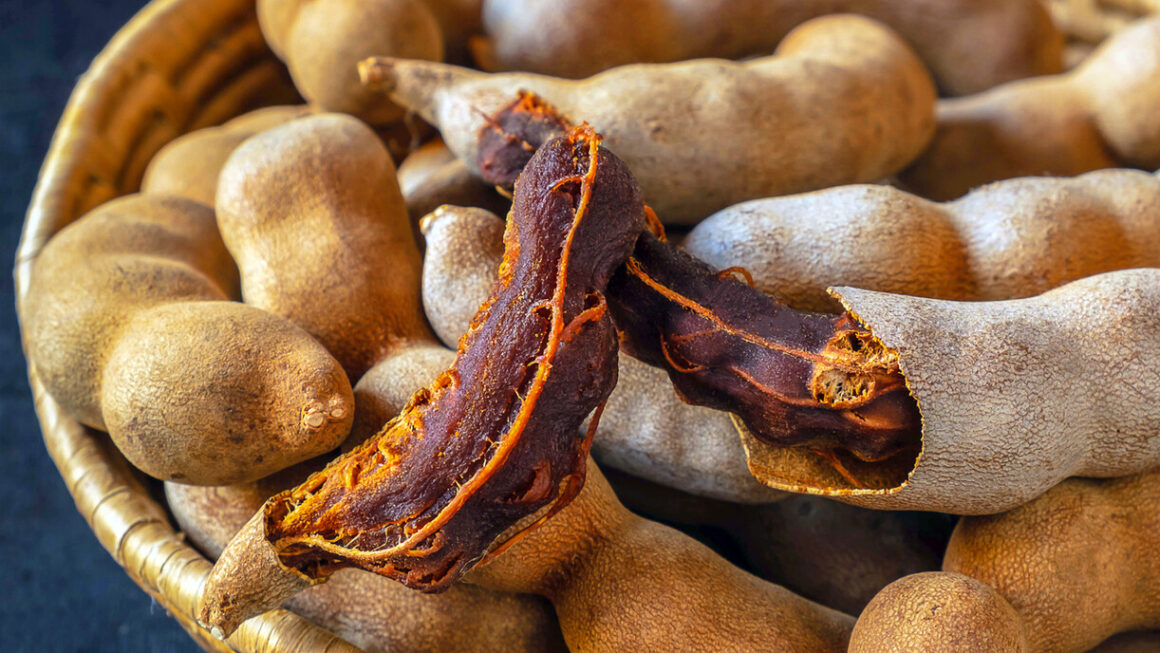tamarindo y sus hojas