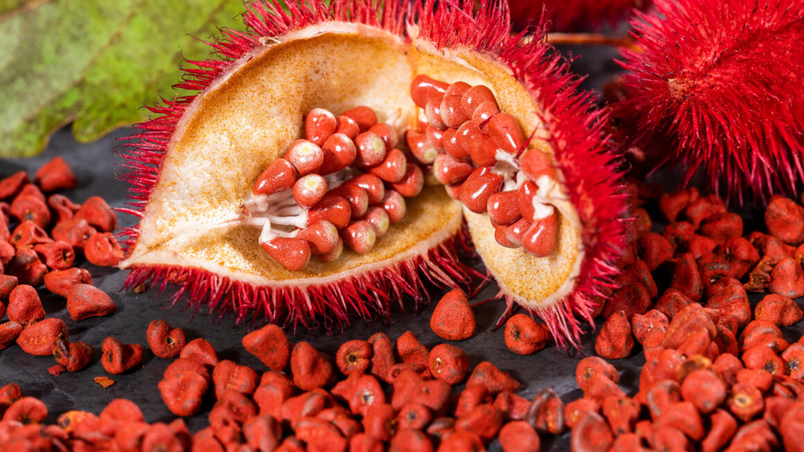 Semillas de achiote