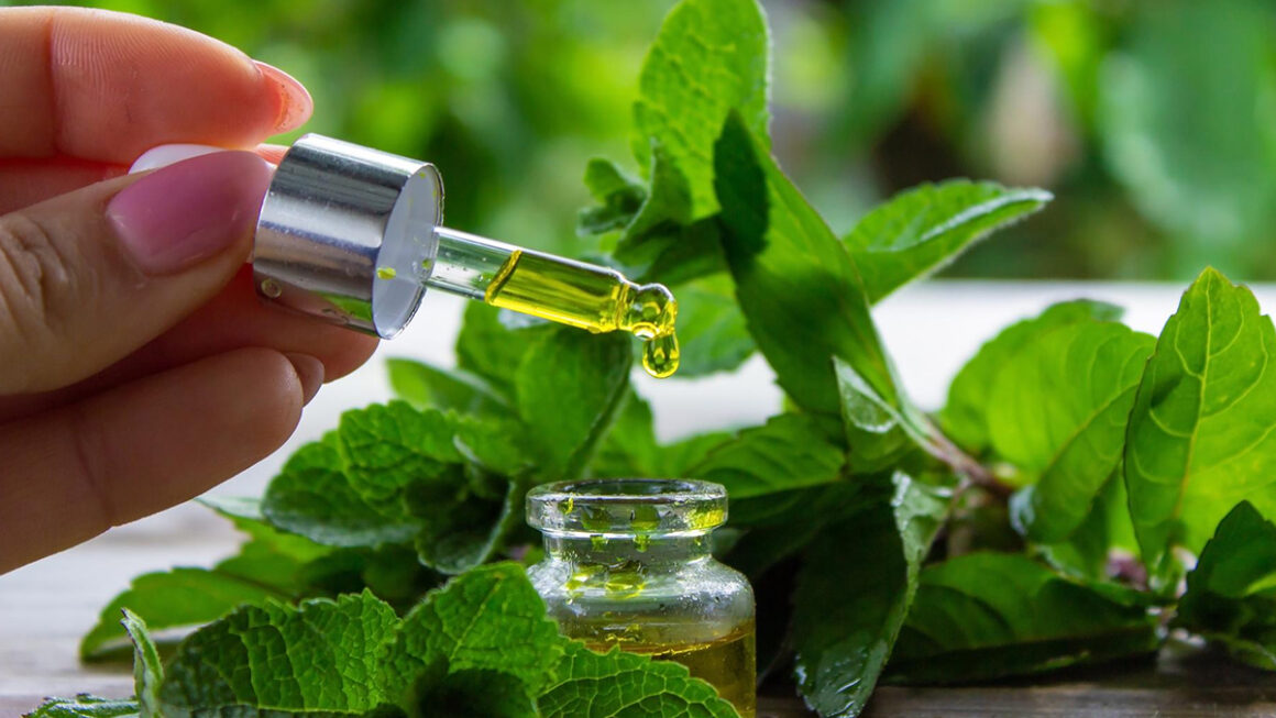 Aceite de menta para el cabello