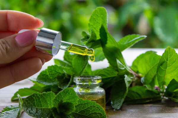 Aceite de Menta: El Secreto Natural para Estimular el Crecimiento del Cabello