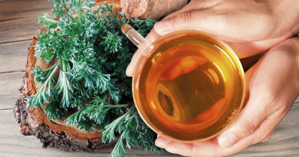 "7 Hierbas Poderosas para Eliminar Parásitos Internos de Forma Natural: Recetas, Beneficios y Precauciones"