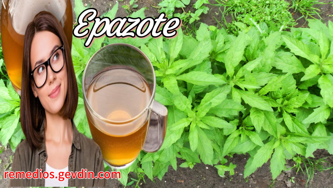 epazote