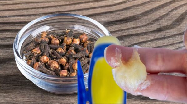 "Clavos de Olor y Vaselina: La Receta Milagrosa para Tu Piel y Dolor Muscular"