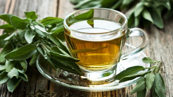 Salvia: El remedio natural que tu intestino necesita para prevenir enfermedades