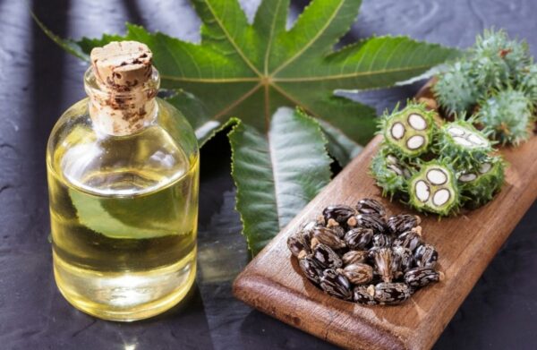 Aceite de Higuereta: Cómo Usarlo para Mejorar tu Salud y Transformar tu Cabello