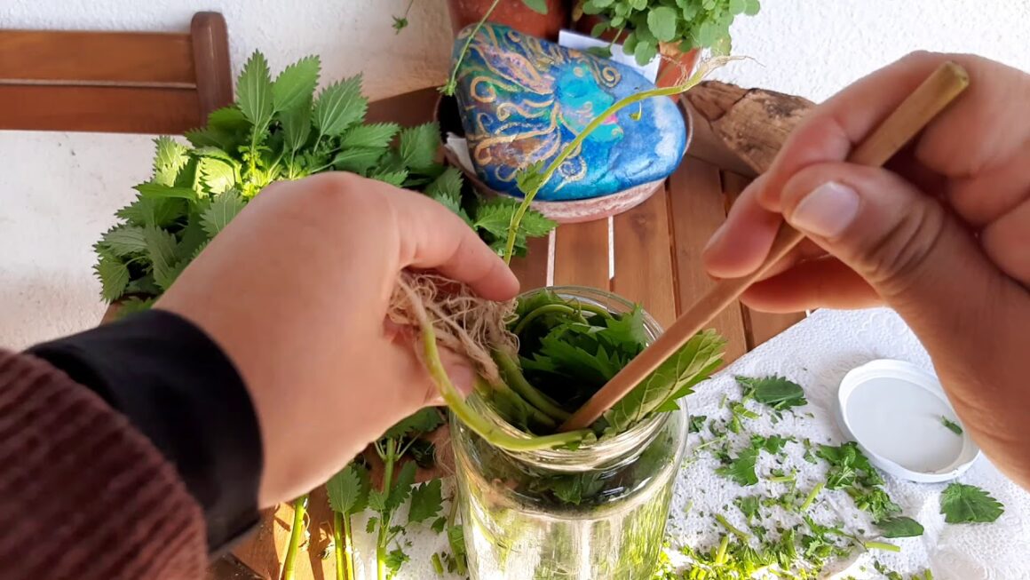 Ortiga y aceite