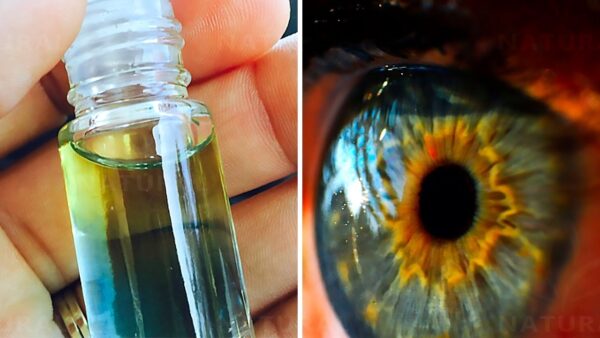 Cómo Utilizar Aceite de Salvia para Mejorar la Visión: Receta, Usos y Beneficios