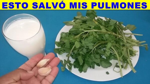 Remedio de Berro, Ajo y Leche: Propiedades, Receta y Precauciones para una Limpieza Pulmonar Completa