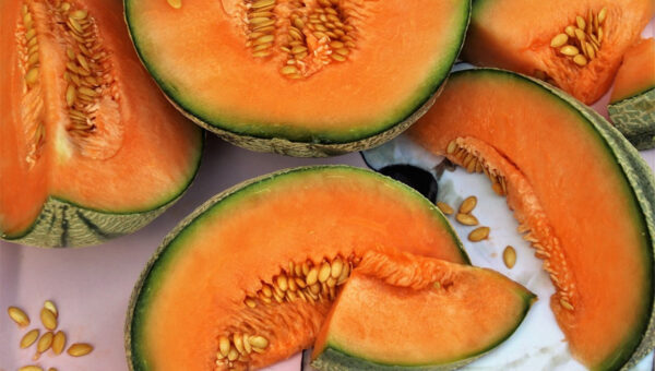 Semillas de Melón: Un Tesoro Nutricional Oculto Que Beneficia Todo Tu Cuerpo