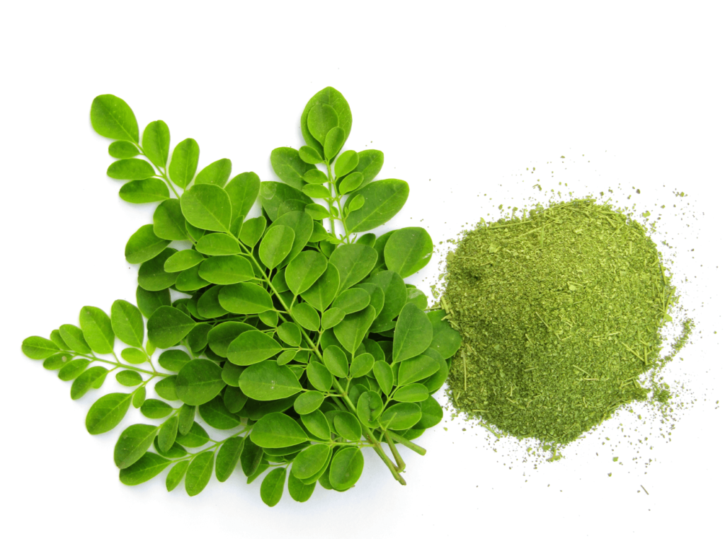 Moringa
