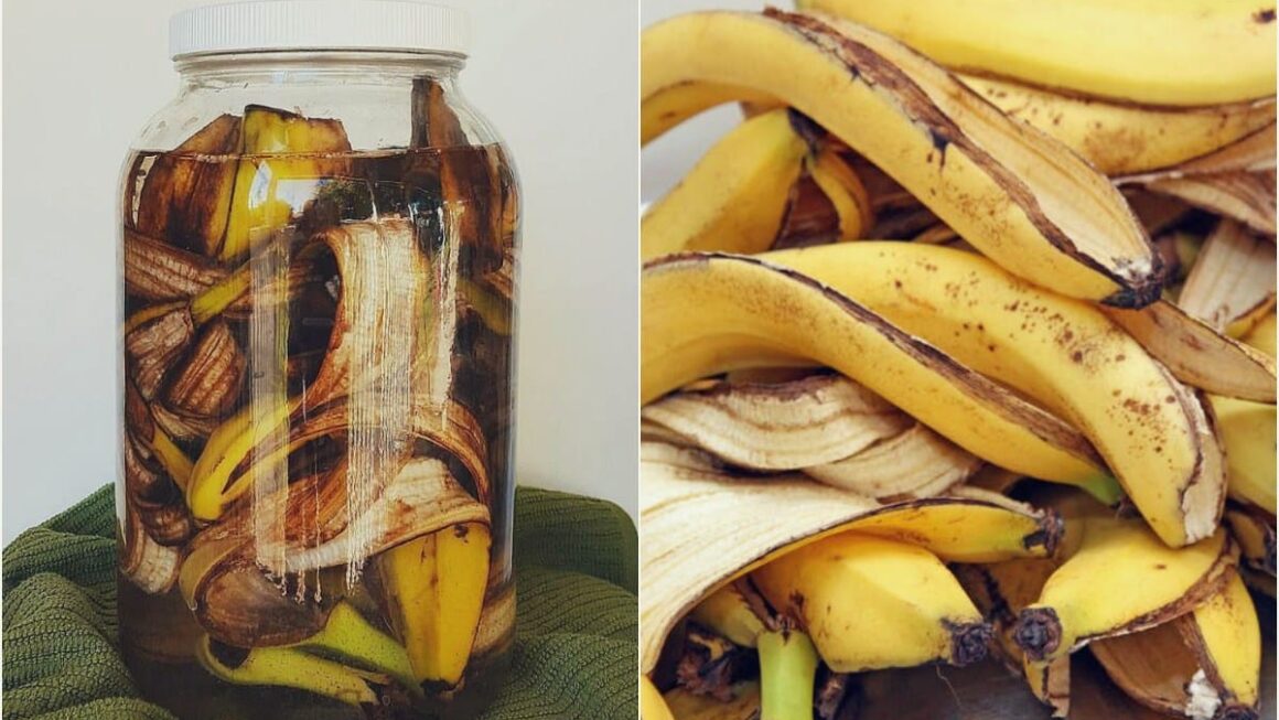 Cáscara de plátano