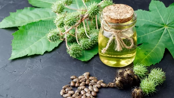 Usa Aceite de Ricino Antes de Acostarte y Despierta con Resultados Sorprendentes en tu Salud