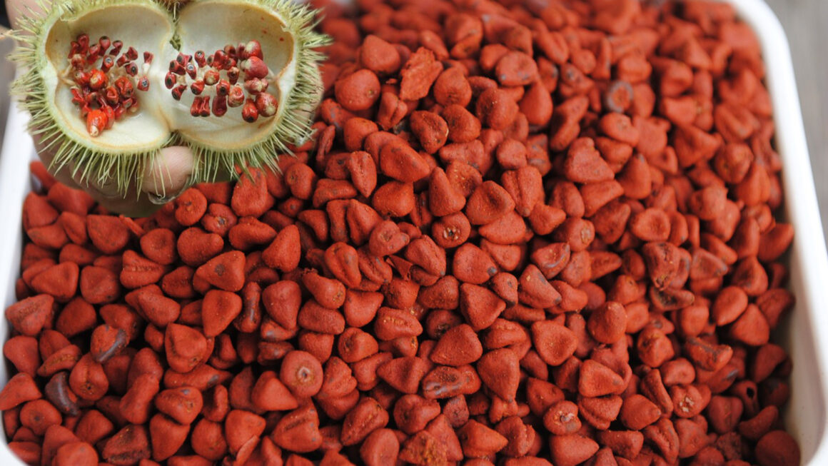 achiote