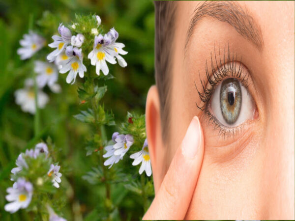 "Recupera y Cuida tu Salud Ocular con Estas 5 Hojas Medicinales: Propiedades y Recetas Esenciales"