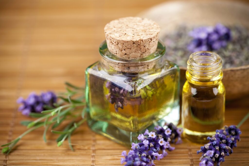 la Lavanda