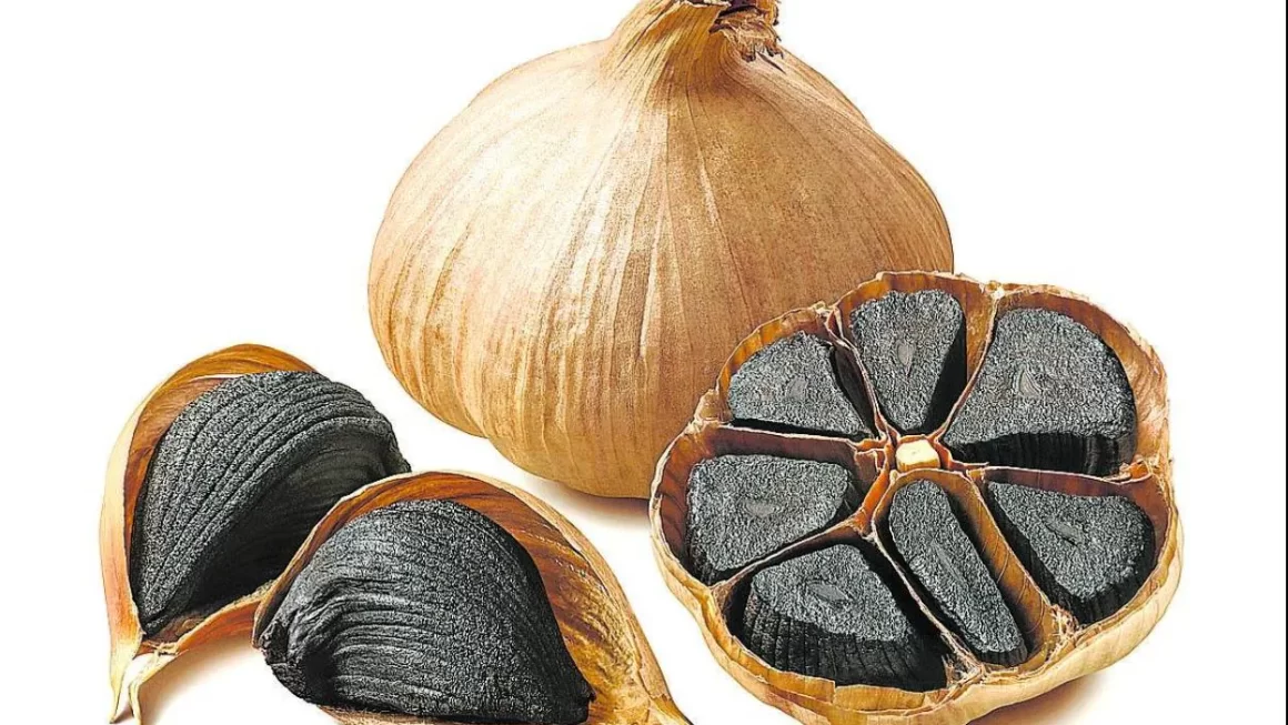 ajo