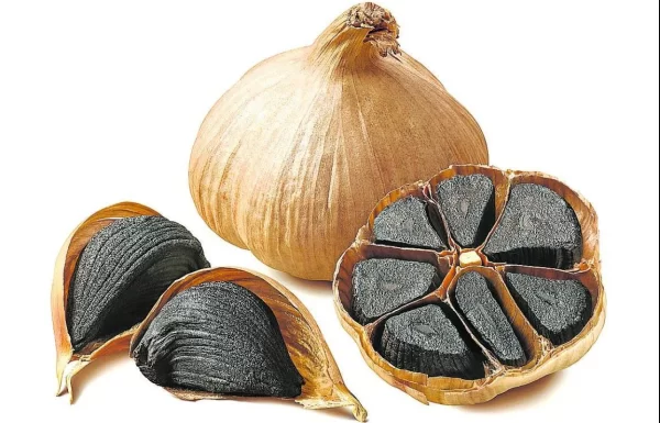 "Los Increíbles Beneficios del Ajo Negro para la Salud: Propiedades, Recetas y Más"