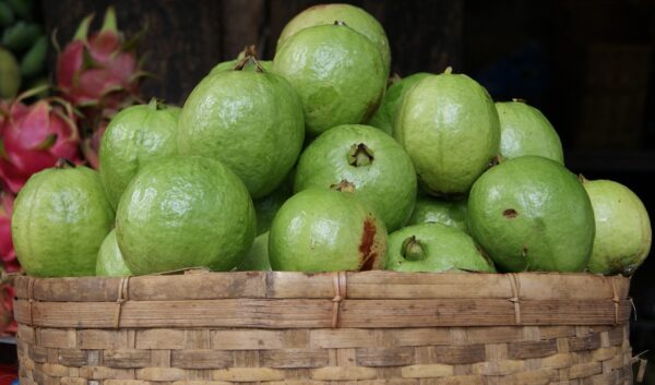 "Guayaba: El Secreto Natural para Controlar el Azúcar y Sus Asombrosos Beneficios para Tu Cuerpo"