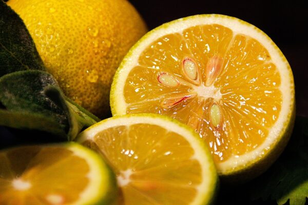 "Beneficios y Usos Medicinales de las Semillas de Limón: Propiedades, Recetas y Precauciones"