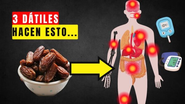 "Consume Tres Dátiles Diarios: Impacto en tu Salud, Recetas y Todo lo que Debes Saber"