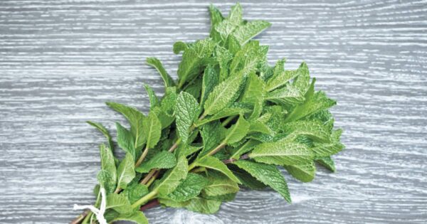 "Cuidar la Visión de Forma Natural: Beneficios y Recetas con Hojas de Menta"