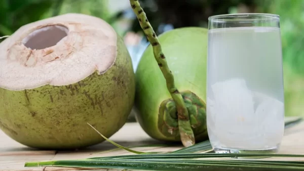 Antes de Consumir Agua de Coco, Descubre Estos 15 Poderosos Beneficios y Recetas Fáciles
