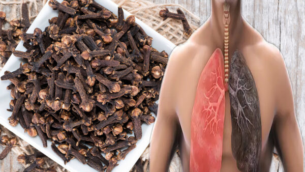 "Cómo Usar los Clavos de Olor para Combatir Infecciones Respiratorias y Bronquitis"