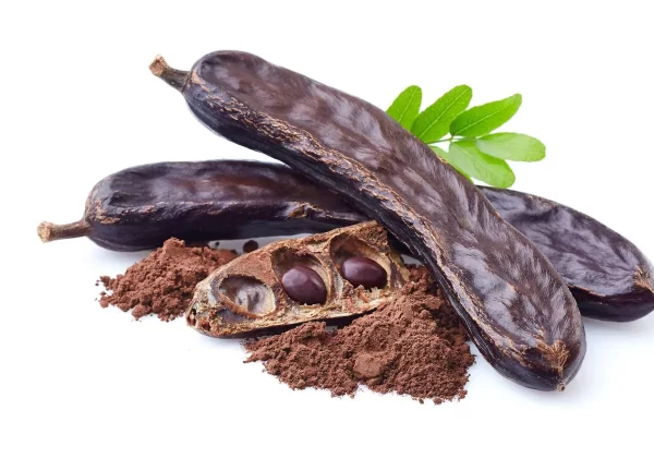 Usos Medicinales y Beneficios del Algarrobo