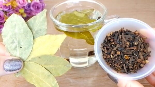 Té de Laurel y Clavo de Olor: Receta Completa, Beneficios y Consejos de Consumo